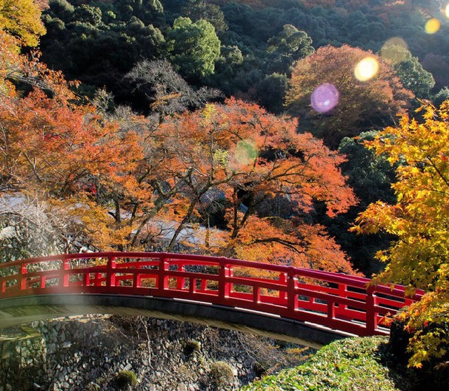 5 địa điểm du lịch Osaka nhất định phải ghé thăm một lần- Ảnh 2.