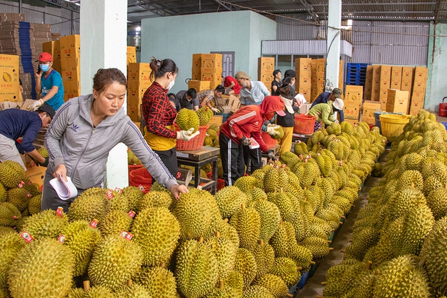 Rực rỡ nông sản Việt- Ảnh 3.