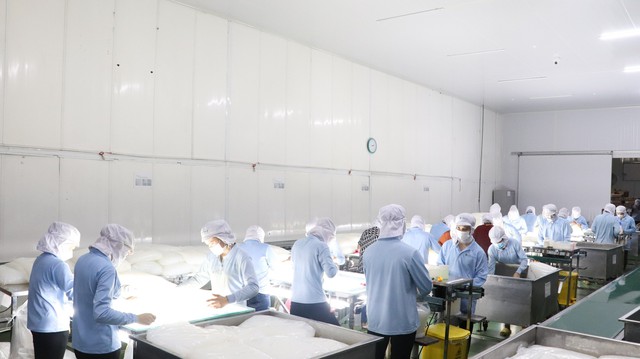 Thạch dừa được sản xuất với công nghệ hiện đại tại nhà máy thạch dừa lớn bậc nhất Việt Nam Vinacoco của GC Food Thạch dừa được sản xuất với công nghệ hiện đại tại nhà máy thạch dừa lớn bậc nhất Việt Nam Vinacoco của GC Food