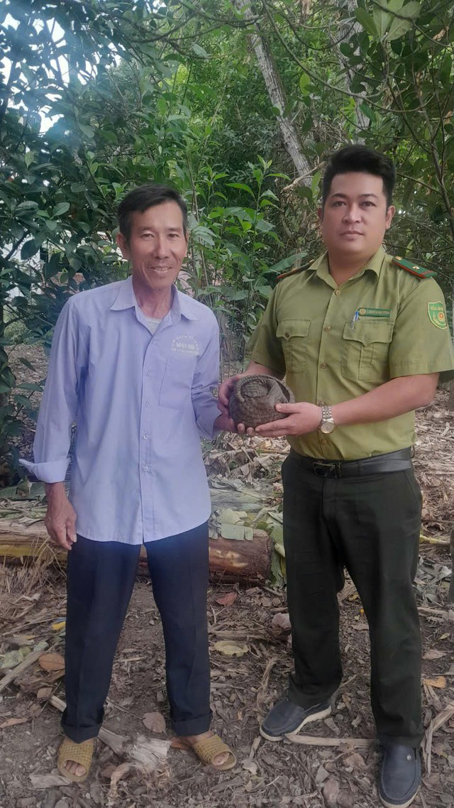 Đà Nẵng: Nhiều động vật hoang dã quý hiếm lạc vào nhà dân được cứu hộ- Ảnh 1.