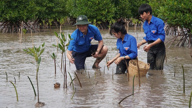 Thanh niên Cà Mau làm lợi khoảng 92,5 tỉ đồng- Ảnh 1.