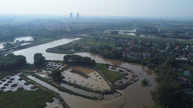 Gian nan bảo vệ chim trời- Ảnh 2.