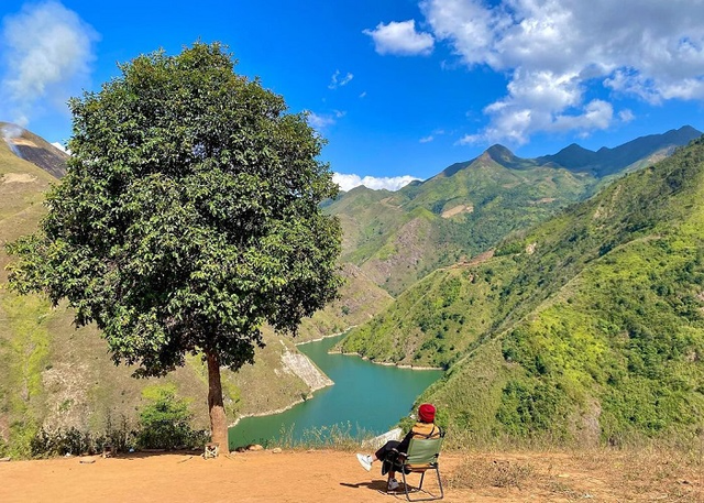 Check-in now at lonely trees in Vietnam - Photo 3.