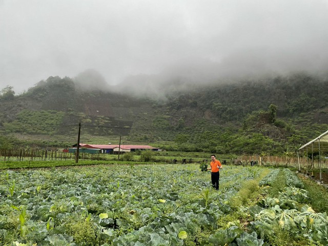 Sendo Farm khảo sát, chọn lọc và thu mua nông sản sạch tận vườn