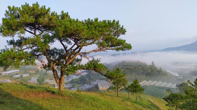 Tiếng chuông của Lana - Truyện ngắn dự thi của Nguyễn Ngọc Thiện Nhân- Ảnh 1.