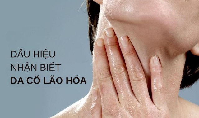 Những dấu hiệu cho thấy da cổ đang bắt đầu lão hóa- Ảnh 1.