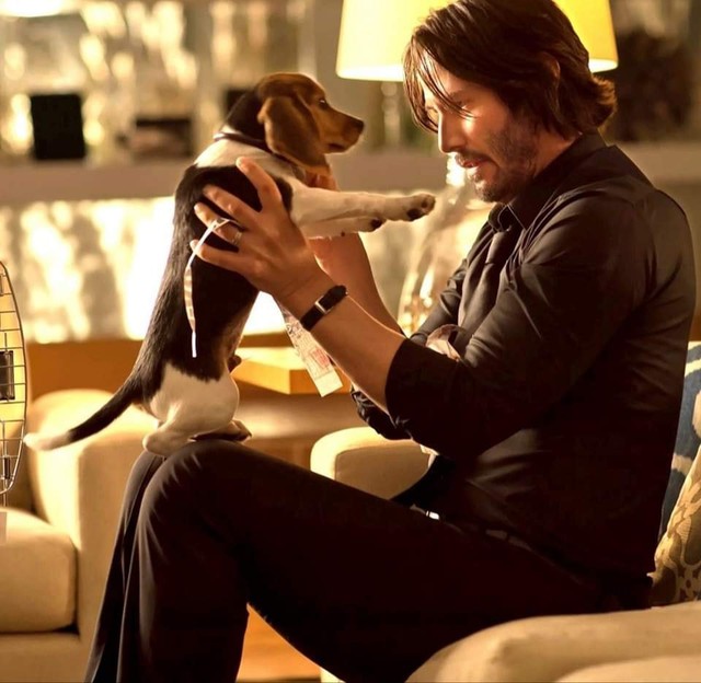 Chuyện ít biết về bộ râu thương hiệu của Keanu Reeves trong 'Sát thủ John Wick'- Ảnh 2.