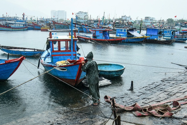 Bão Trà Mi: Từ 10 giờ ngày 27.10, người dân Đà Nẵng hạn chế rời nhà- Ảnh 2.