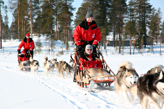 Experiences when traveling to Lapland, Santa's hometown in Finland - Photo 4.