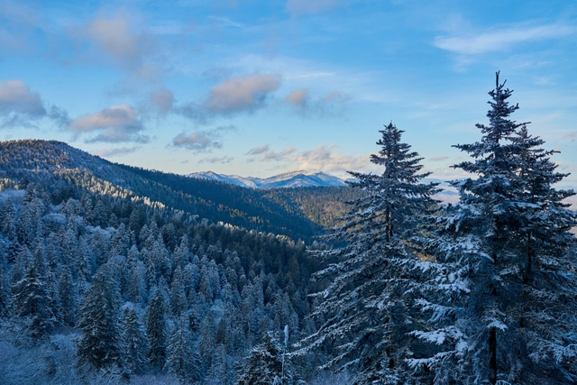 How do you see the national parks in the US'changing into new clothes' in winter? - Photo 3.