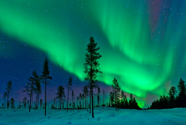 Top natural phenomena that you can only see in winter - Photo 4.