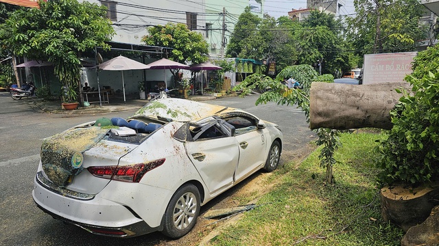 Cây phượng Trường tiểu học Nguyễn Thị Định bật gốc đè ô tô biến dạng- Ảnh 2.