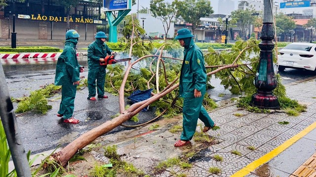 Bão Trà Mi: Đà Nẵng hoàn thành sơ tán hơn 6.200 người dân khỏi vùng nguy cơ- Ảnh 1.