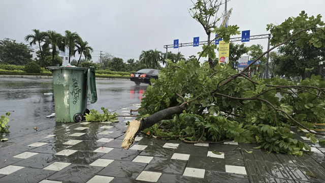 Bão Trà Mi hoành hành: VPF hoãn trận Đà Nẵng gặp Hải Phòng, dời ngày khác- Ảnh 4.