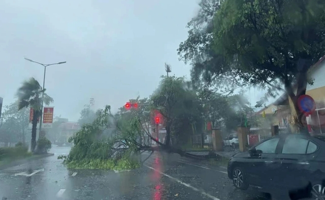 Bão số 6 (bão Trà Mi) gây mưa to gió lớn khắp nơi- Ảnh 18.