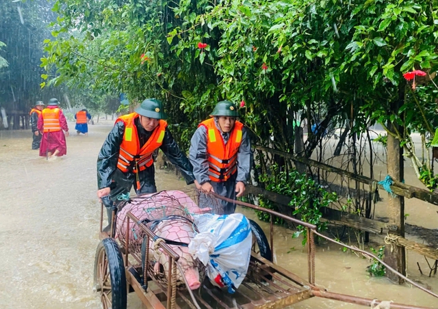 Lính biên phòng cõng dân bản, đẩy xe chở gia súc 'chạy lũ'- Ảnh 2.