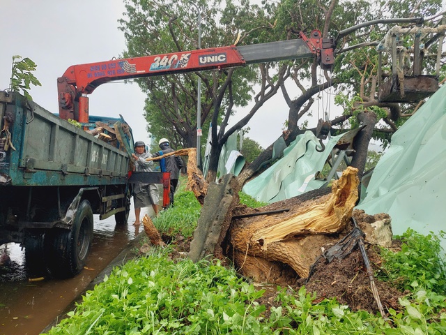 Cập nhật: Bão Trà Mi áp sát đất liền gây mưa lớn, gió mạnh - Ảnh 18.