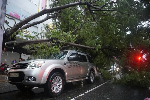 Bão số 6 (bão Trà Mi) gây mưa to gió lớn khắp nơi- Ảnh 16.