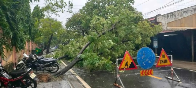 Cập nhật: Bão Trà Mi áp sát đất liền gây mưa lớn, gió mạnh - Ảnh 2.