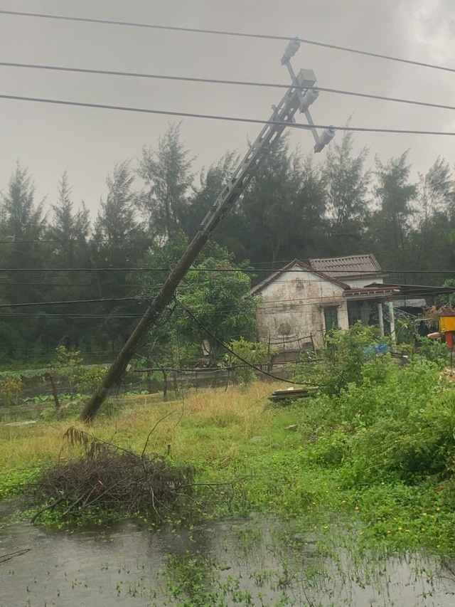 Bão số 6 (bão Trà Mi) gây mưa to gió lớn khắp nơi- Ảnh 14.