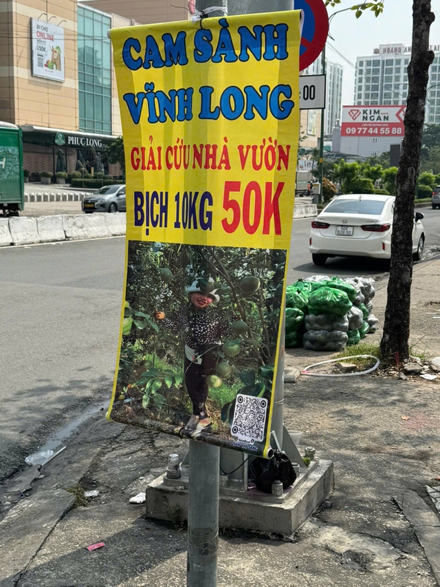 Phập phồng giá nông sản- Ảnh 1.