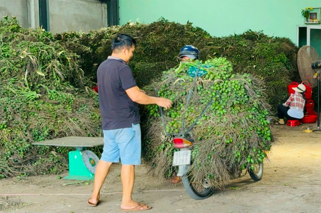 Phập phồng giá nông sản- Ảnh 2.