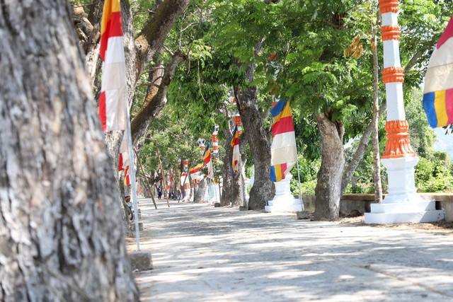 Độc đáo chùa Khmer miền Tây: Vẻ đẹp ngôi chùa có hàng trăm cây còng cổ thụ- Ảnh 4.