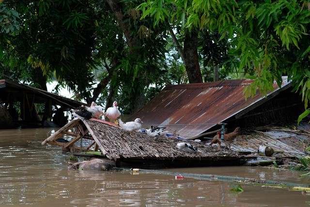 Philippines lại chuẩn bị đón siêu bão sau thảm họa Trà Mi- Ảnh 2.