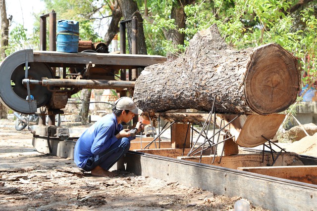 Độc đáo chùa Khmer miền Tây: Vẻ đẹp ngôi chùa có hàng trăm cây còng cổ thụ- Ảnh 8.