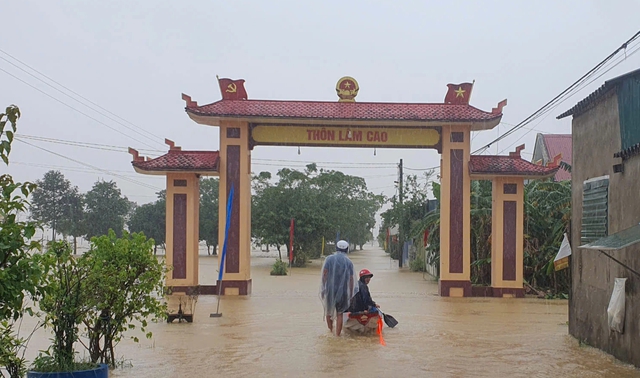 Sau bão Trà Mi, vùng trũng Vĩnh Linh ngập lụt, trôi nhiều đàn gia súc- Ảnh 2.