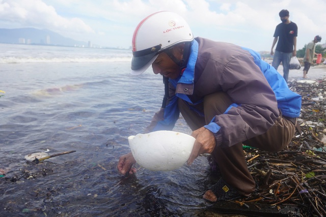 vịnh Đà Nẵng