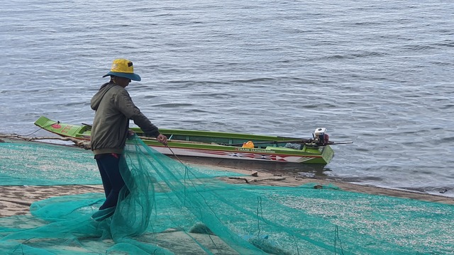 Biến Gia Lai thành 'thủ phủ' các loài cá được không?- Ảnh 1.