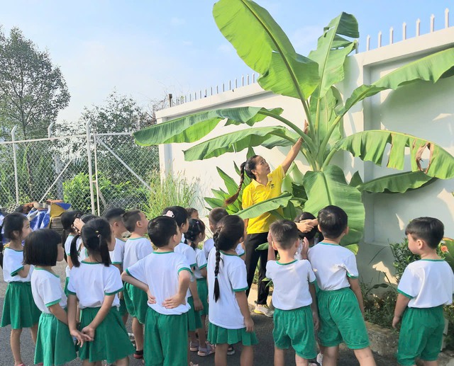 Ai được 960.000 đồng/tháng khi tham gia phổ cập giáo dục mầm non 3-5 tuổi? - Ảnh 3.