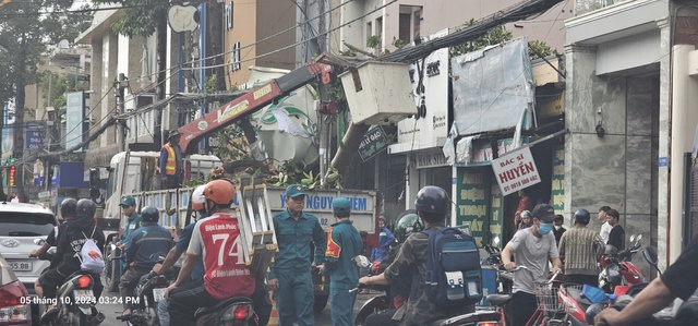 Đồng Nai: Nhiều cây xanh bật gốc, ngã đổ trong cơn mưa- Ảnh 2.