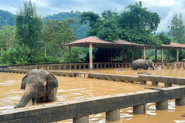 Lũ lụt tàn phá dữ dội thành phố du lịch Chiang Mai- Ảnh 1.