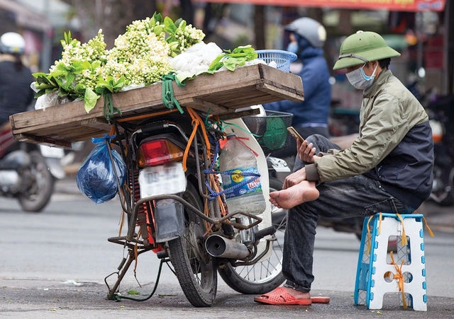 Hoa bưởi trắng - Truyện ngắn dự thi của Minh Ngọc- Ảnh 1.