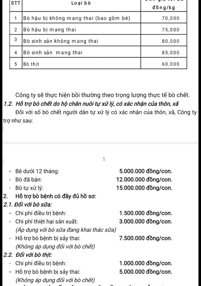 Mức bồi thường tăng thêm 15.000 đồng, người nuôi bò sữa Lâm Đồng không đồng ý- Ảnh 2.