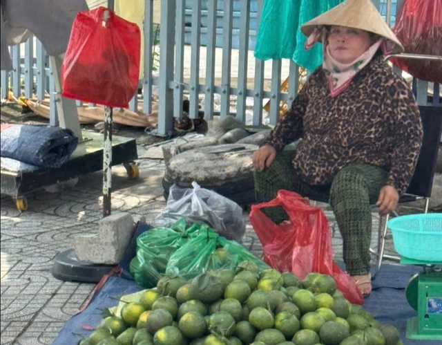 Cam sành tại vườn còn 3.000 đồng/kg, tràn ra đường kêu gọi 'giải cứu'- Ảnh 1.