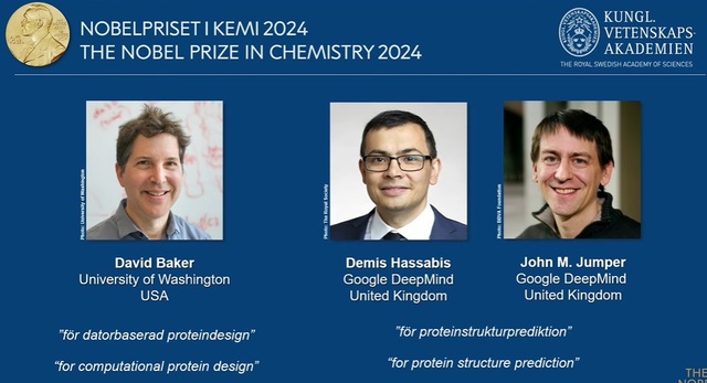 Nobel Hóa học 2024 vinh danh những công trình về protein- Ảnh 1. Nobel Hóa học 2024 vinh danh những công trình về protein- Ảnh 1.