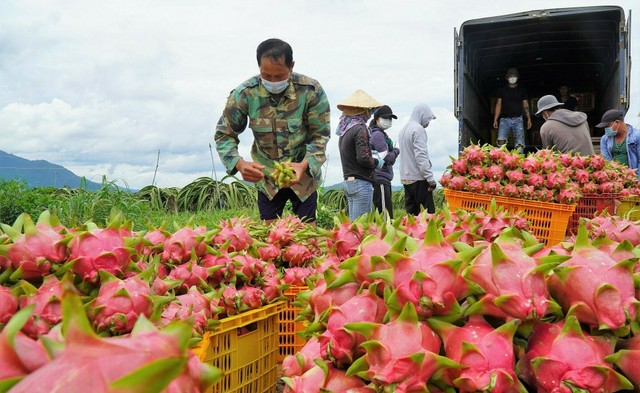 Khám phá các điểm nghỉ dưỡng kết nối thiên nhiên để bảo tồn đại dương- Ảnh 9.