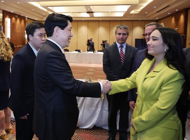 Chủ tịch nước Lương Cường gặp gỡ lãnh đạo doanh nghiệp tiêu biểu Chile- Ảnh 1.