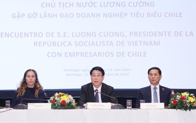 Chủ tịch nước Lương Cường gặp gỡ lãnh đạo doanh nghiệp tiêu biểu Chile- Ảnh 2.