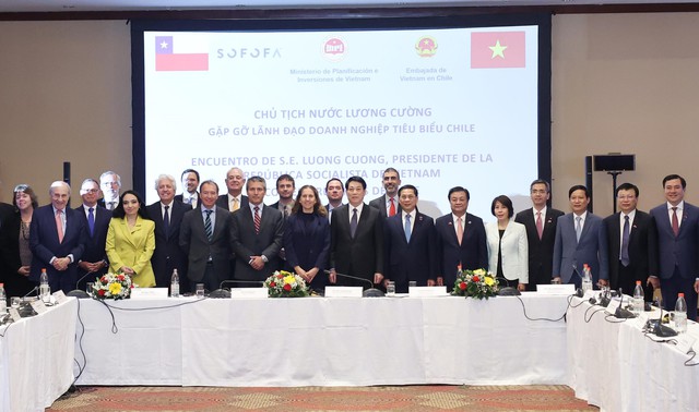 Chủ tịch nước Lương Cường gặp gỡ lãnh đạo doanh nghiệp tiêu biểu Chile- Ảnh 3.