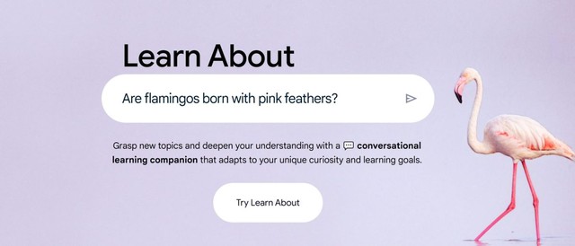 Google thử nghiệm AI 'Learn About' hỗ trợ việc học tập- Ảnh 1.