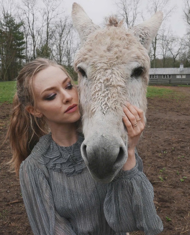 Amanda Seyfried chia sẻ lý do rời Hollywood- Ảnh 1.