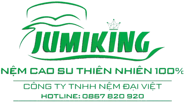 Nệm thiên nhiên JUMIKING - Vươn tầm quốc tế- Ảnh 5.