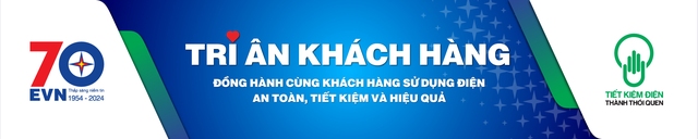 Có gì đặc biệt trong tháng EVN tri ân khách hàng?- Ảnh 2.