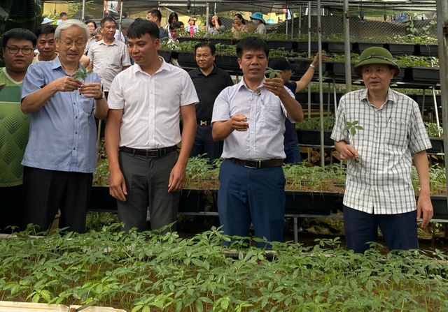 Sâm quốc bảo Việt Nam: Để sâm Ngọc Linh, Lai Châu, Lang Biang giá trị vững bền- Ảnh 6.