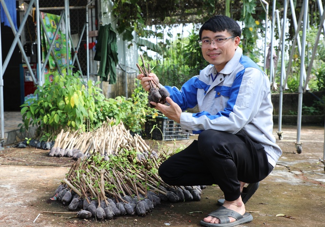 Chàng trai trồng cỏ để bán, thu lãi 300 - 400 triệu đồng/năm- Ảnh 1.