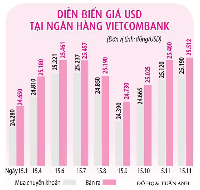 Lý do tỷ giá tăng nóng- Ảnh 2.